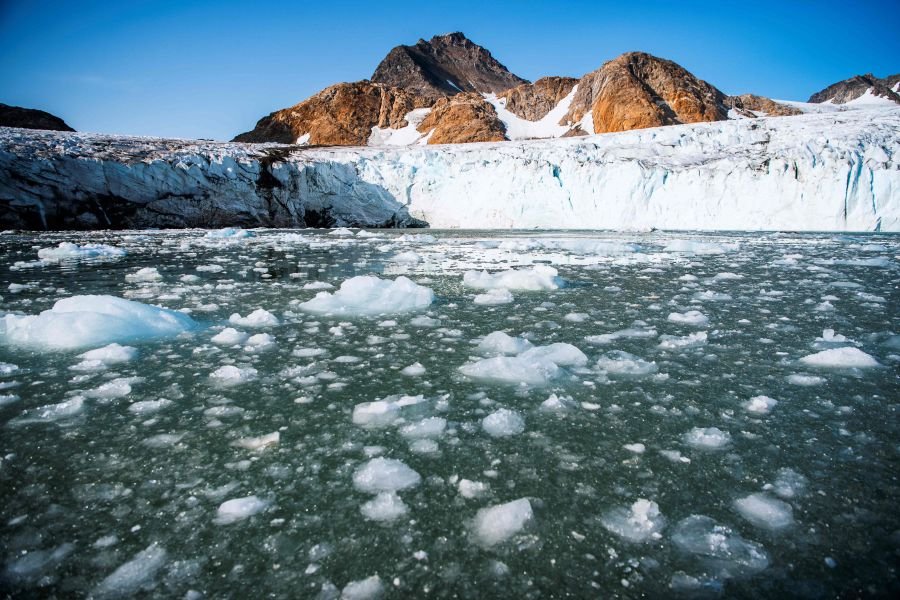 Arctic warming four times faster than rest of Earth: Study