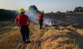 Heatwaves: Drought officially declared in several parts of England