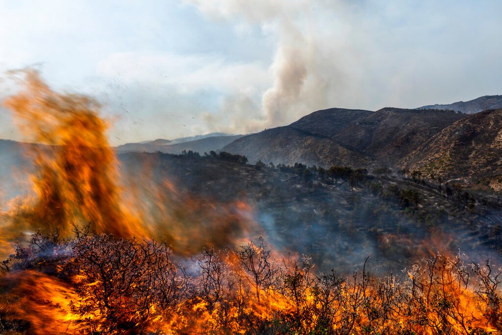 Evacuation orders lifted as Spain wildfire stabilised