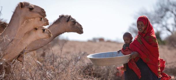 Horn of Africa drought to worsen with fifth failed rains: UN