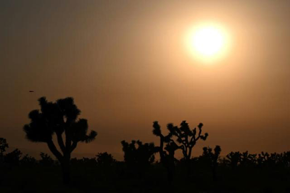 ‘Dangerous’ heat wave hits southwestern US: National Weather Service