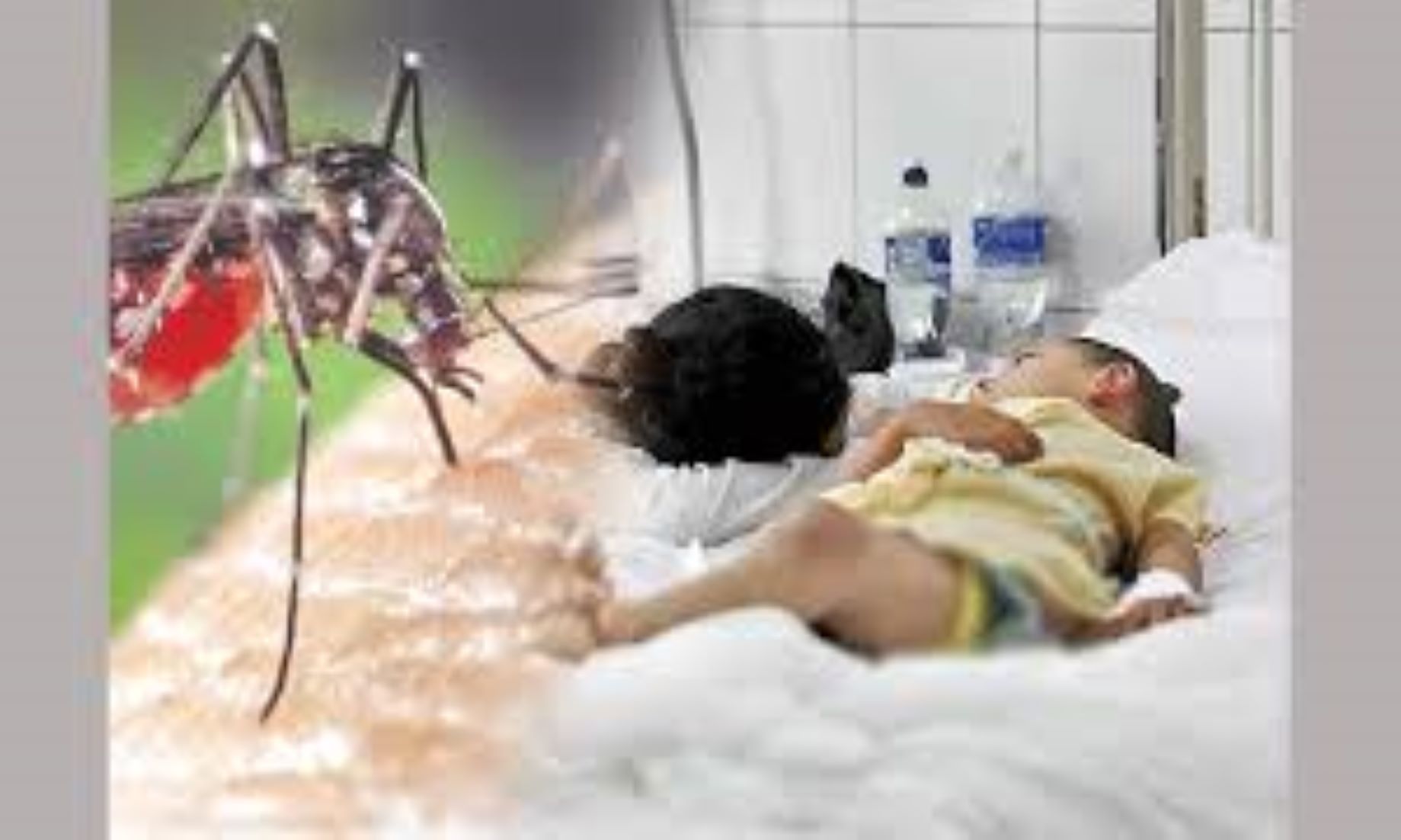 Sri Lanka Reported Nearly 50,000 Dengue Cases This Year