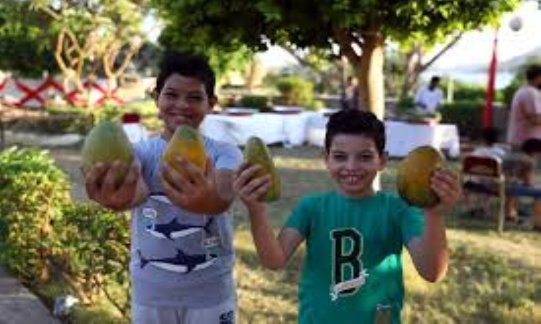 Egypt’s Mango Festival Concluded Amid Efforts To Boost Sales