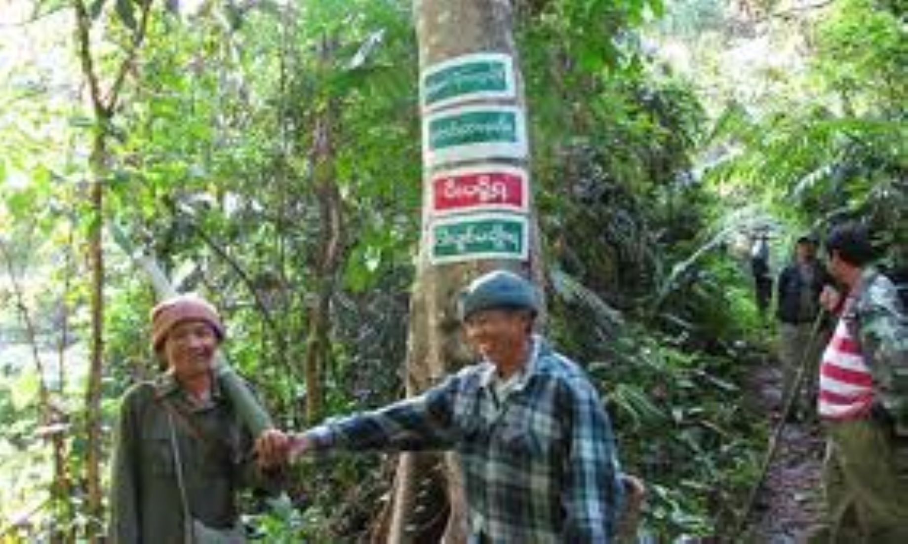 Myanmar Designated New Protected Public Forest Area