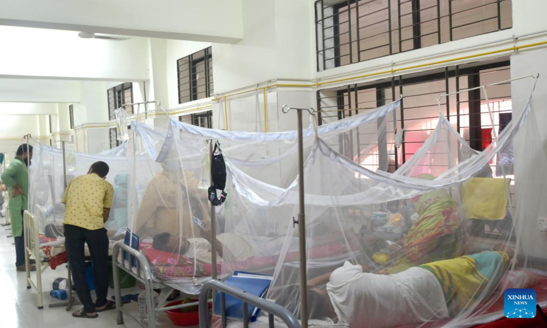 Over 9,000 Cases Of Dengue Fever Reported In Bangladesh This Month