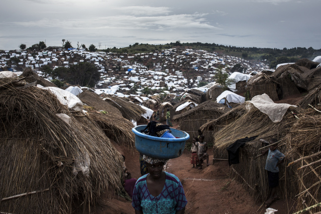 Thousands of Congolese refugees returned home this year: UN