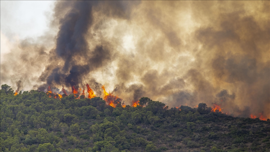 Wildfires burns over 3,200 hectares of land in SW France