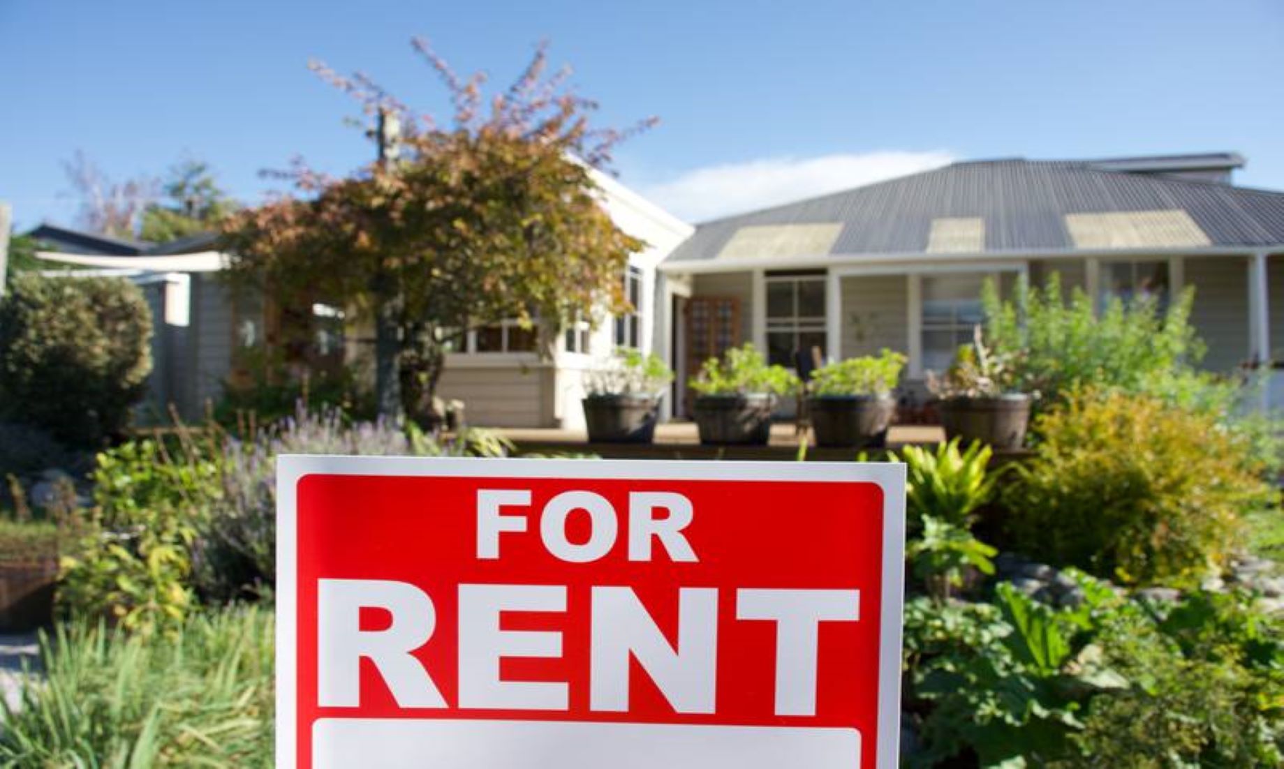 Rents In New Zealand Remained At All-Time High In Aug