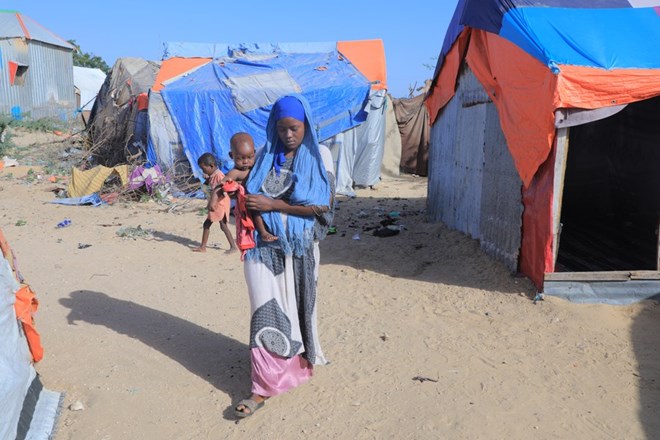 IOM seeks over 50 mln USD to scale up assistance for 2.5 mln Somalis as famine looms