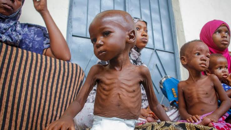 Somalia: More than 500,000 Somali children face catastrophic hunger, says UN