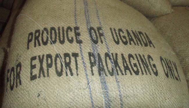 Uganda earns sh262b from coffee exports in August