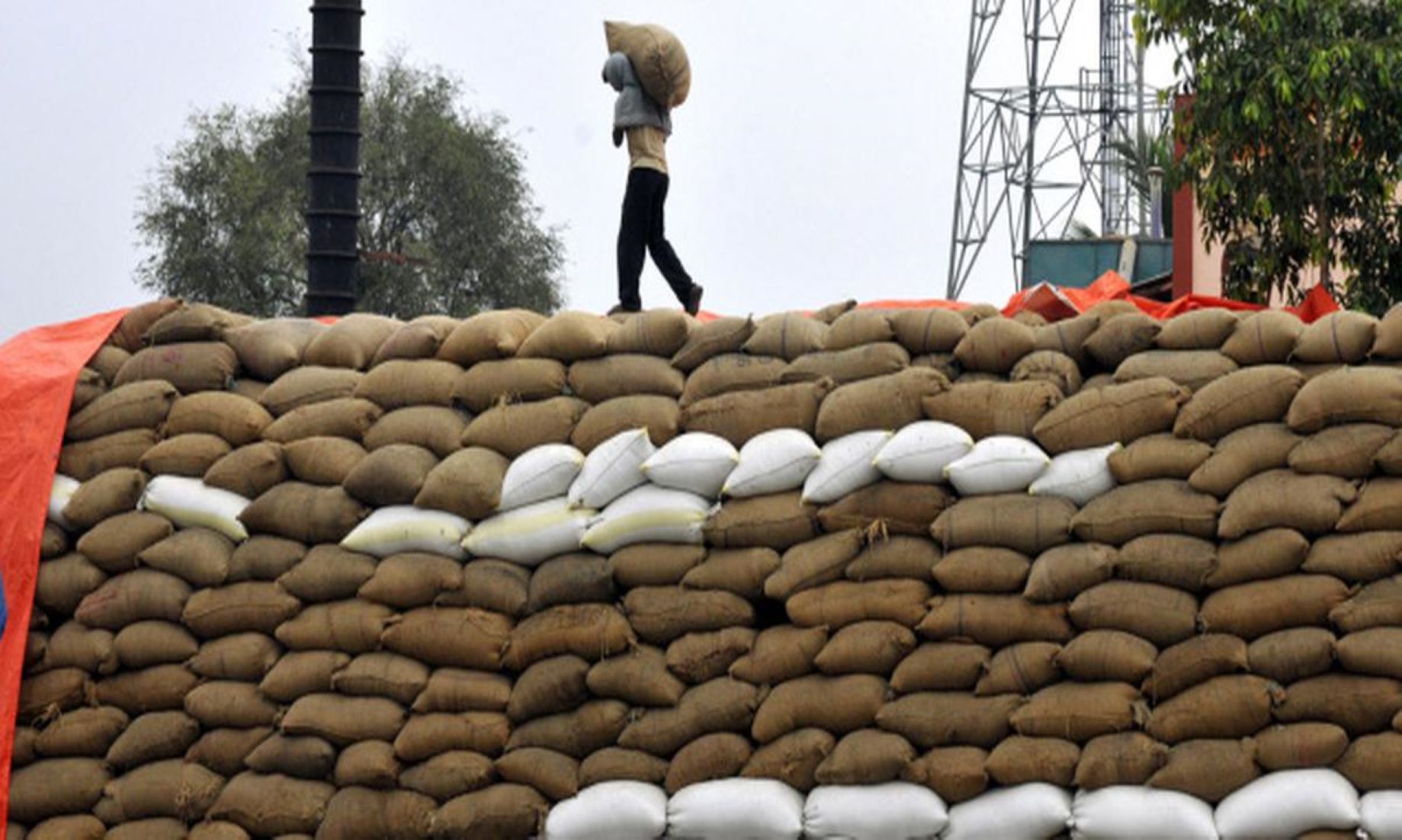 Indian Rice Exporters Urge To Extend Export Ban Deadline To Avoid Losses