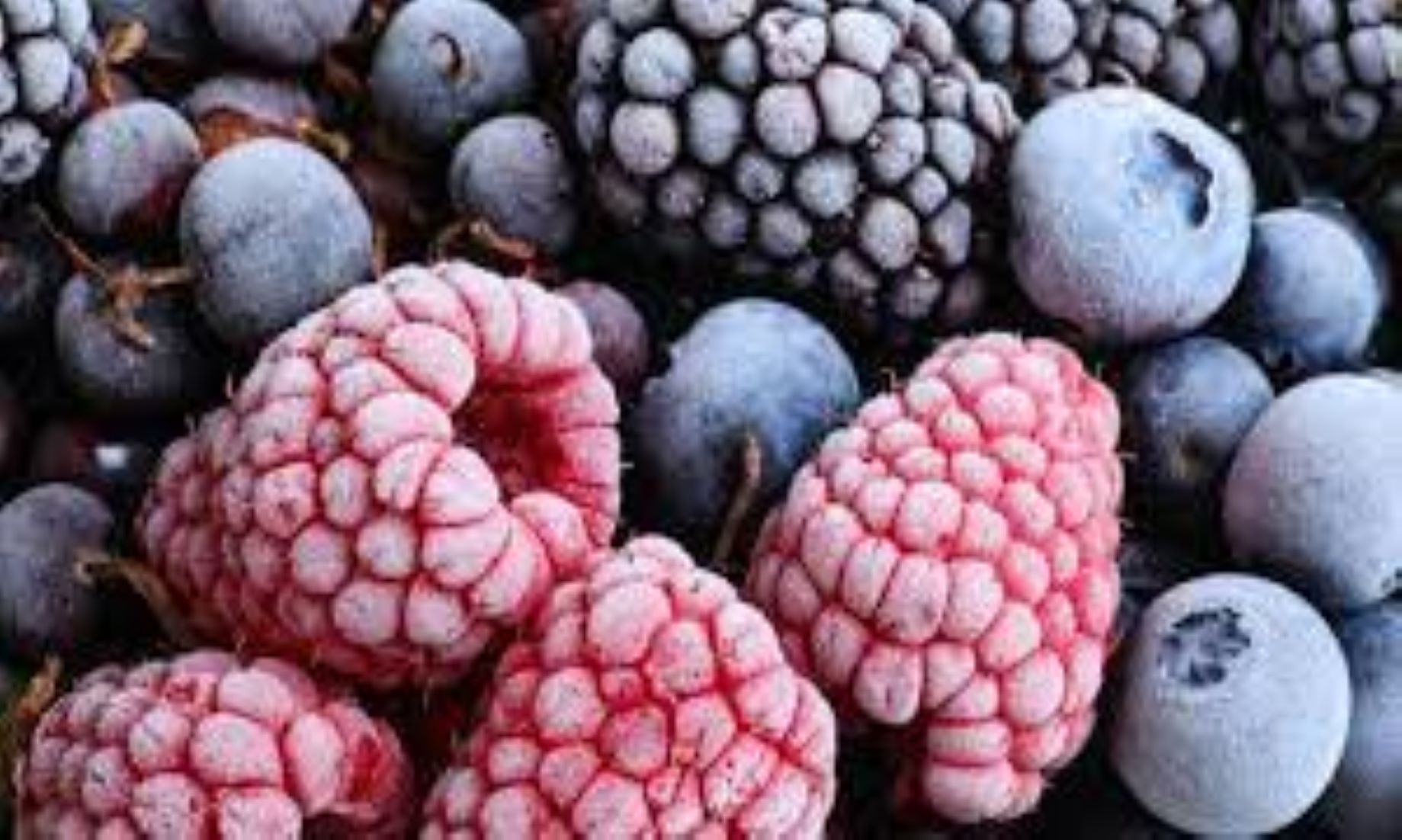 New Zealand Warns About Hepatitis A Risk From Imported Frozen Berries