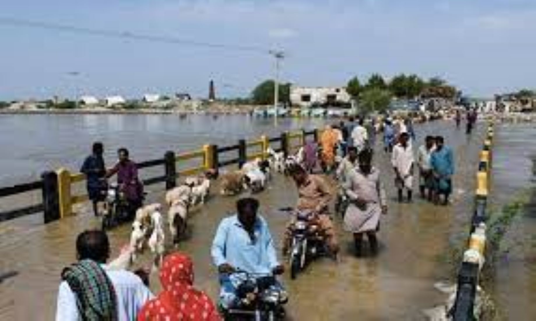 UN Chief Called For Urgent, Collective Action To Help Flood-Hit Pakistan