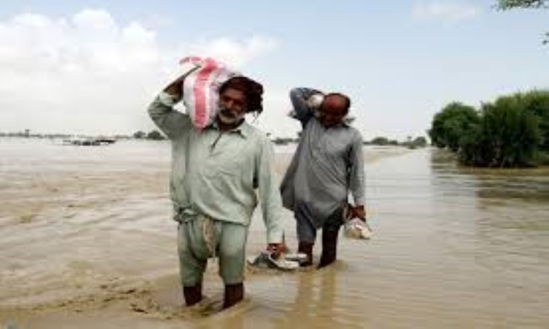 No Immediate Food Security Challenge For Pakistan Despite Floods: Officials