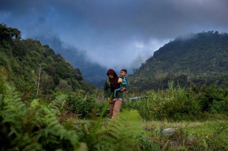 Indonesia, Norway ink deal to reward rainforest protection