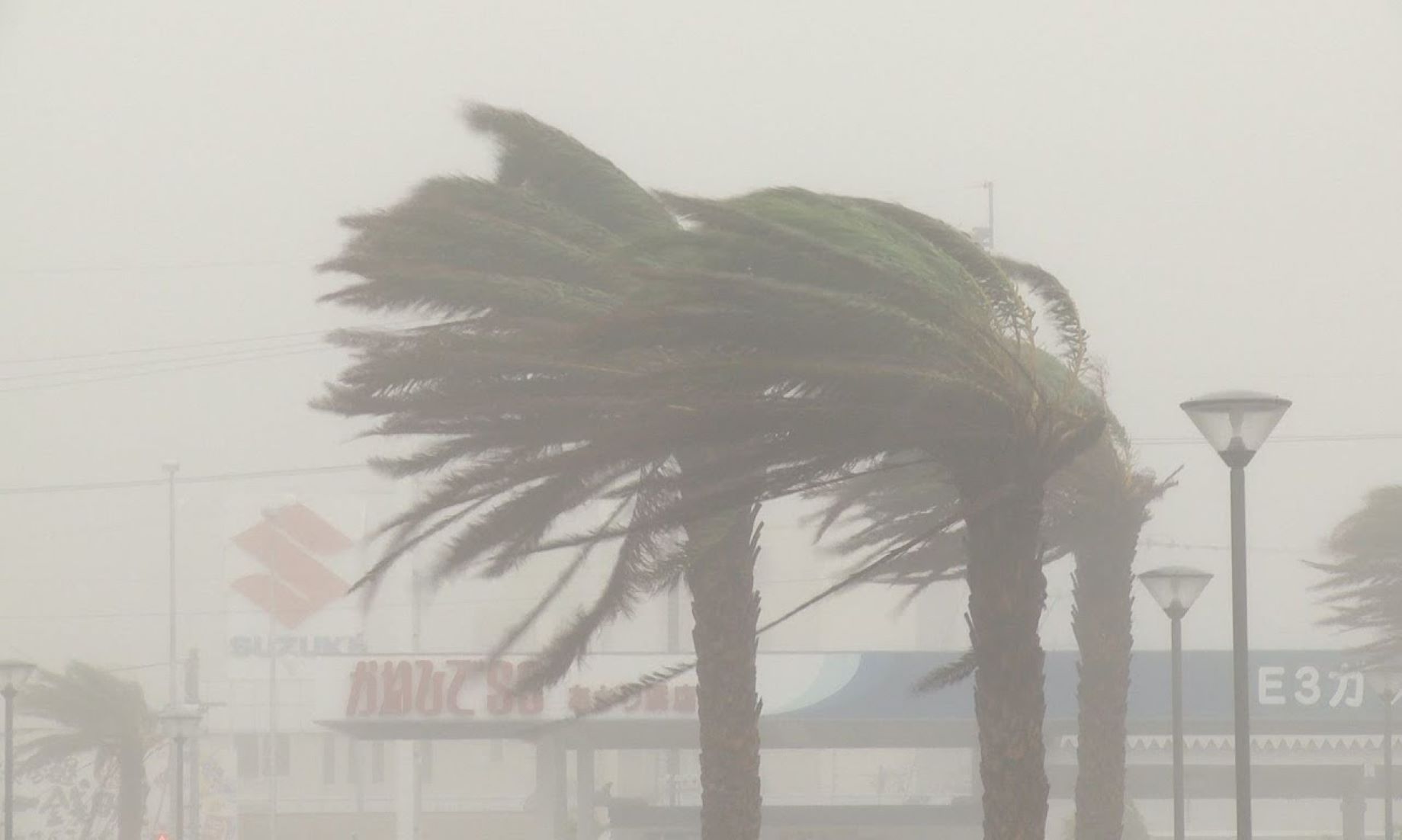 Typhoon Muifa Brings Torrential Rain, Gale-Force Winds To Okinawa Islands