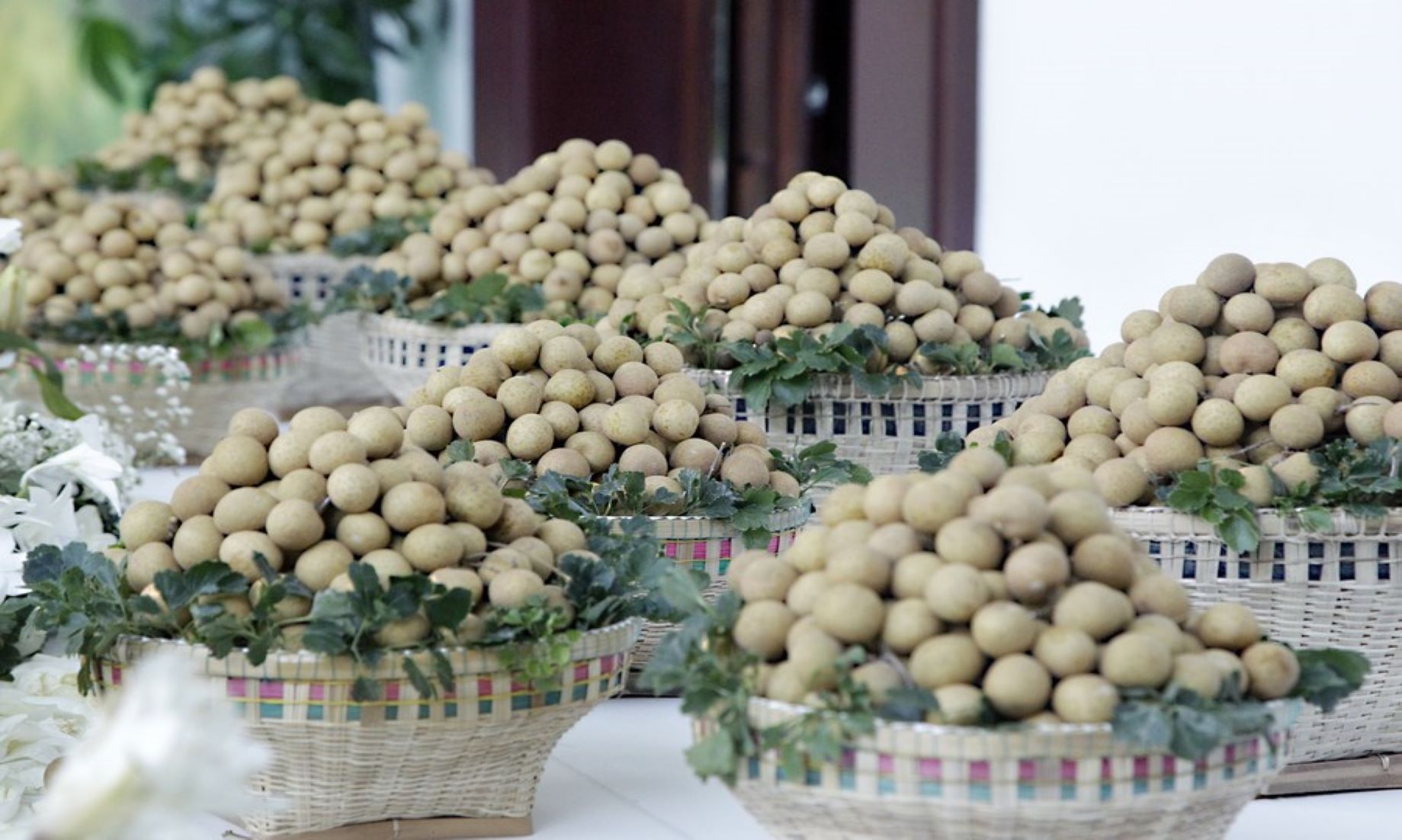 Cambodia Launched Longan Exports To China