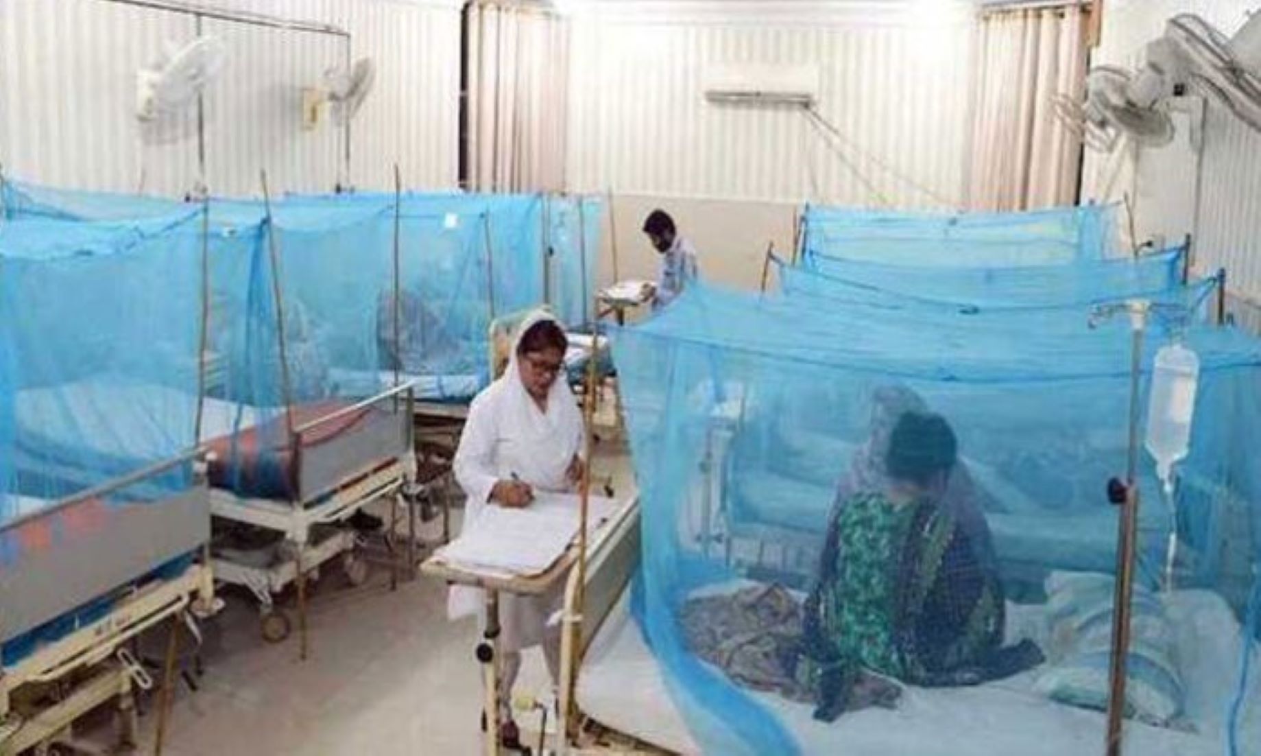 Dengue Fever Cases Keep Rising In Pakistan