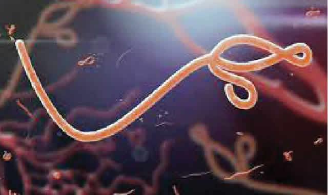 Nigeria on high alert for Ebola outbreak in Uganda