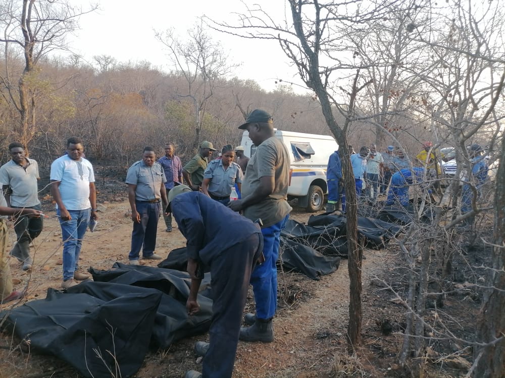 Zimbabwean president calls for fire management strategy after 10 killed in veld fire