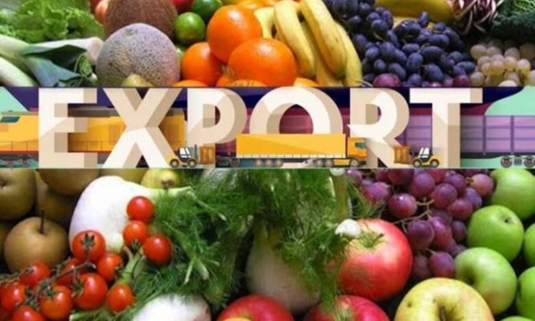 Pakistan’s Food Exports Up By Over Five Percent In Q1 Of 2022-23