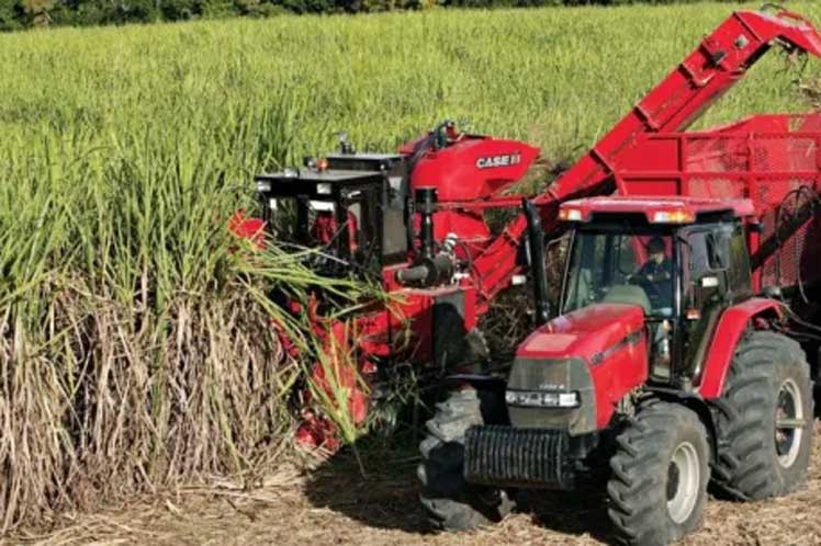 Cuba seeks to increase sugarcane yields