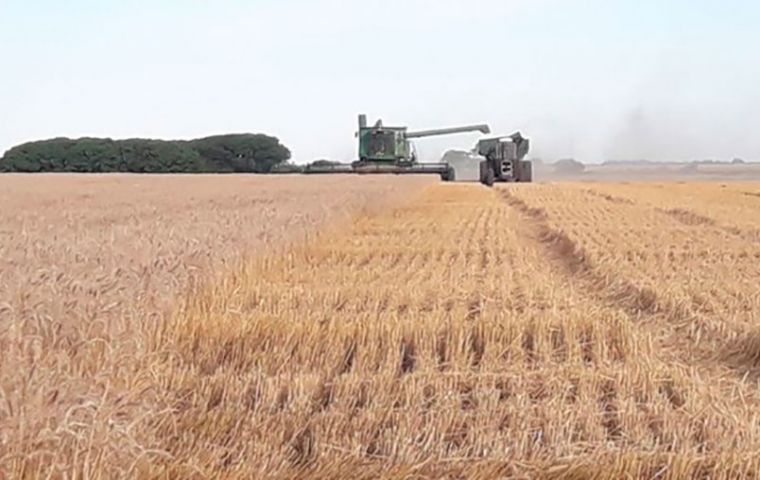 Mercosur wheat shortages: Argentina lack of water, in Brazil is has been pouring for the last month