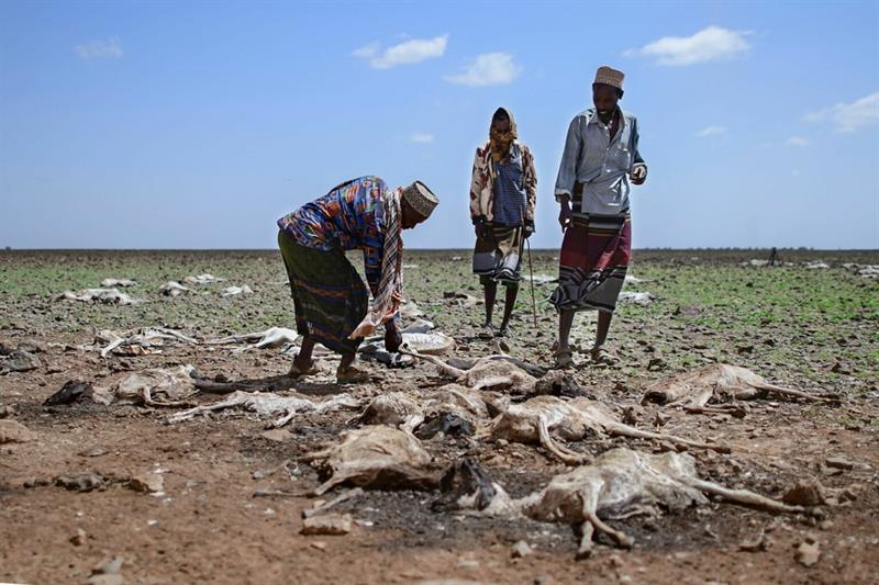 Kenya provides 16 mln USD for drought mitigation amid hunger