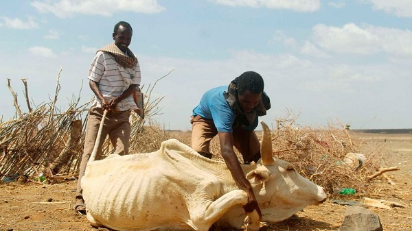 Kenya says it needs $140 million to fight worsening drought; UN says 6.4 million Kenyans need humanitarian assistance