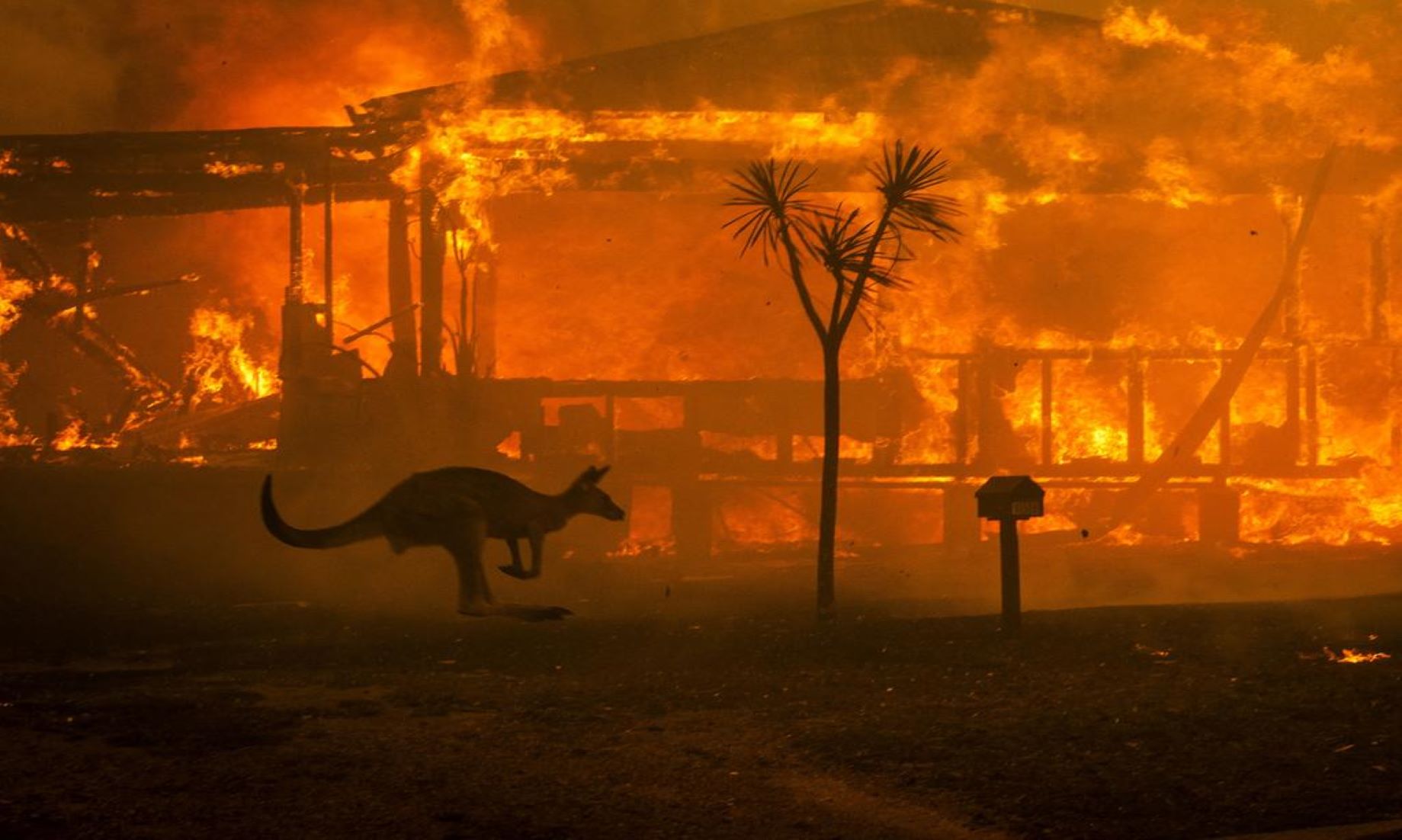 Dangerous Australian Arsonists To Be Tracked Down During Bushfire Season Under New Laws