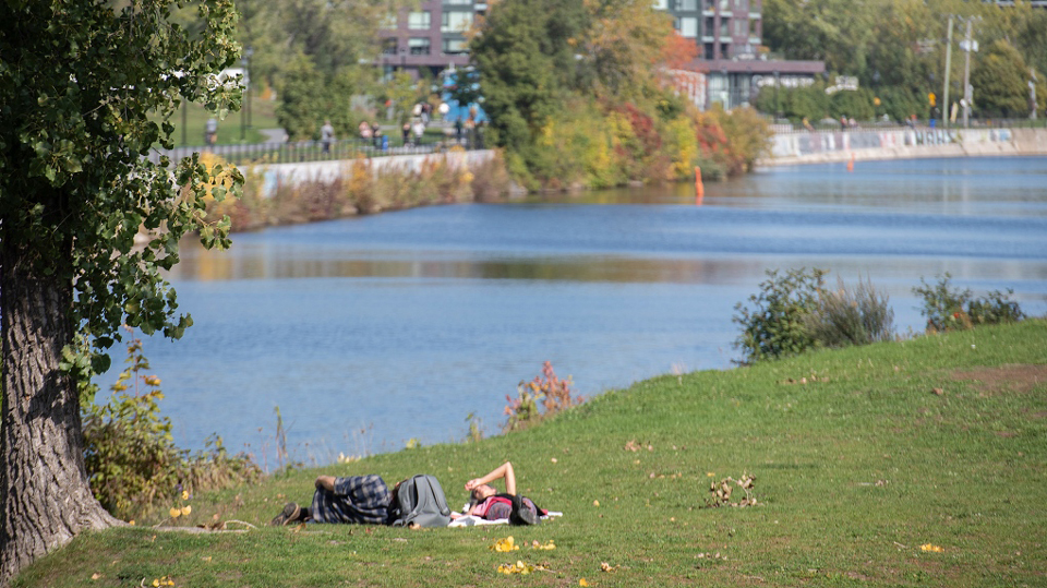 Canada heatwave: Record-breaking November heat in Montreal