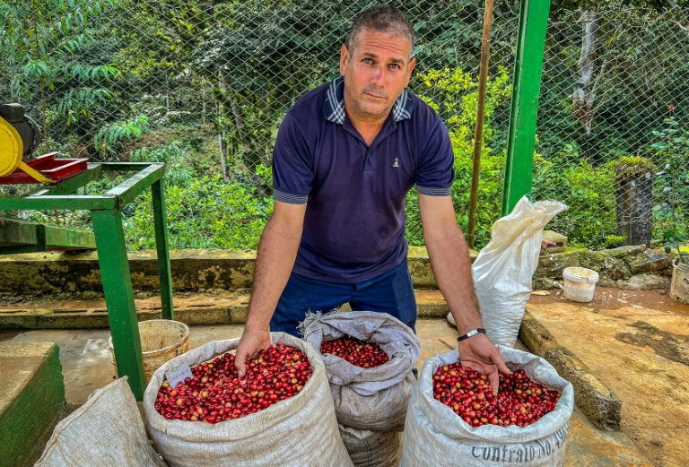 Cuba bets on specialty coffee to boost industry