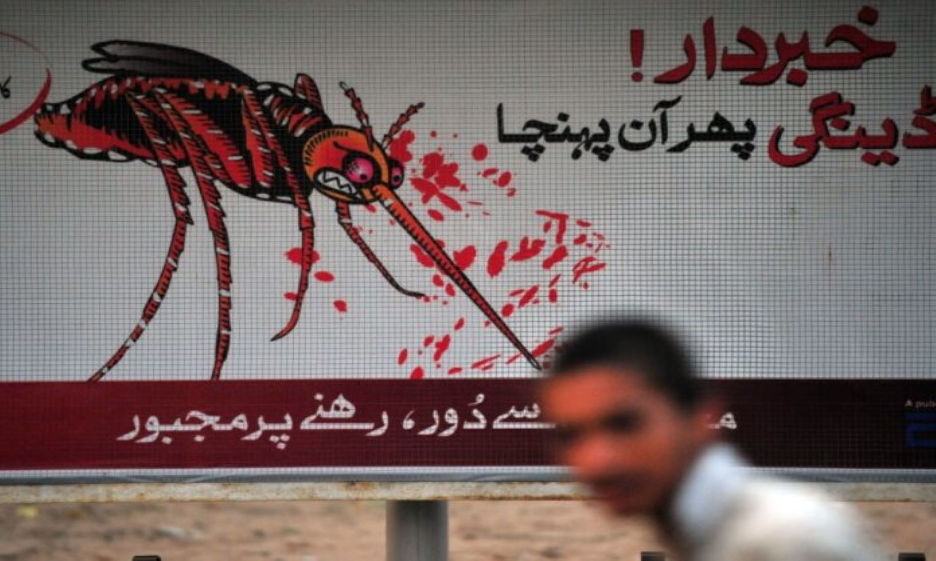 20 Deaths Reported From Dengue In Parts Of Pakistan In Three Weeks