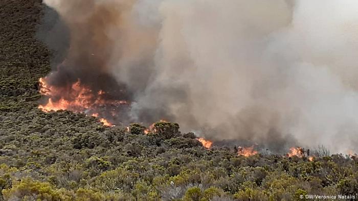 Fire ravages 34.2 sqkm of Mount Kilimanjaro ecosystem