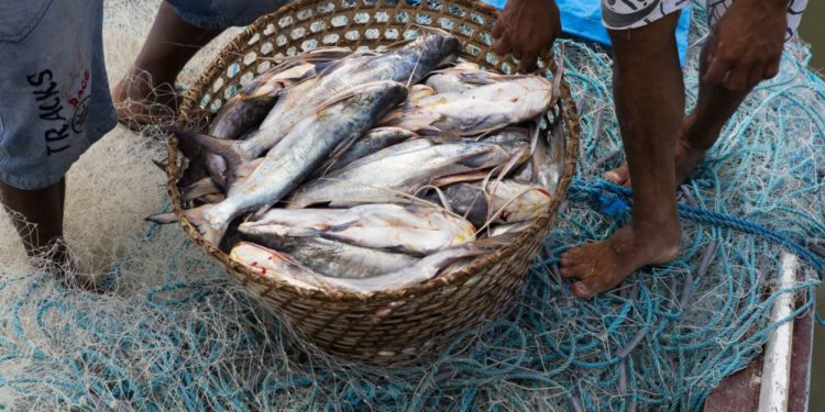 Angola signs international agreement against illegal fishing