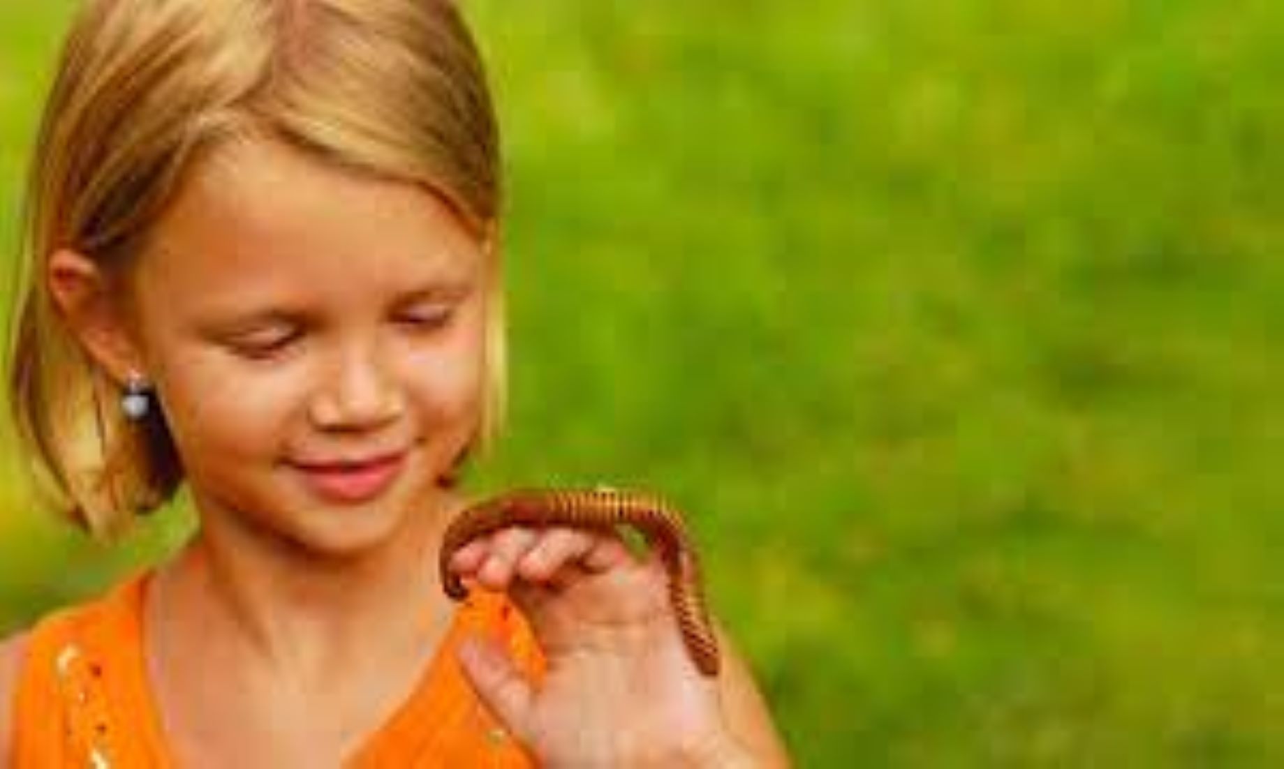 Australia’s First National Pet Show