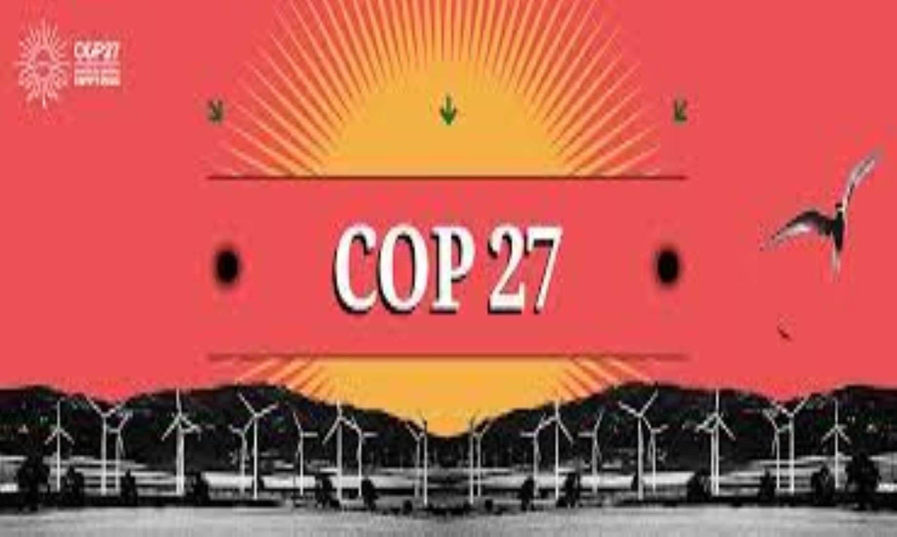 Egypt Counts On COP27 To Push Developed Countries To Meet Climate Financial Commitments