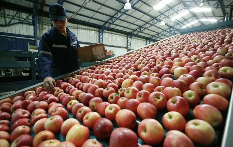 Exports of Chilean fruit looking at bright future ahead