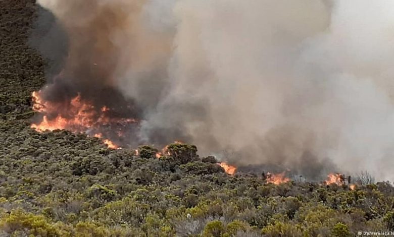 Tanzania: State pulls all resources to contain wildfire at Mt Kilimanjaro – PM Majaliwa