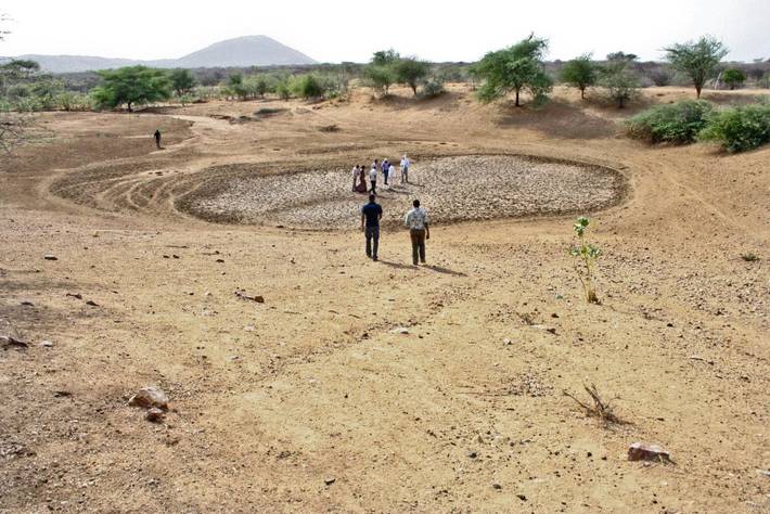 FAO and Germany step up humanitarian action in rural Somalia