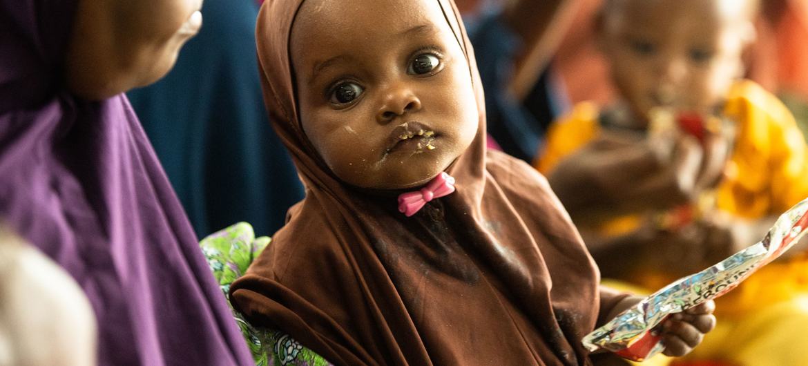 Somalia: Urgent support needed for rural communities facing famine, says UN