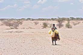 Over 40 million risk starvation in Kenya, Ethiopia, and Somalia due to biting drought