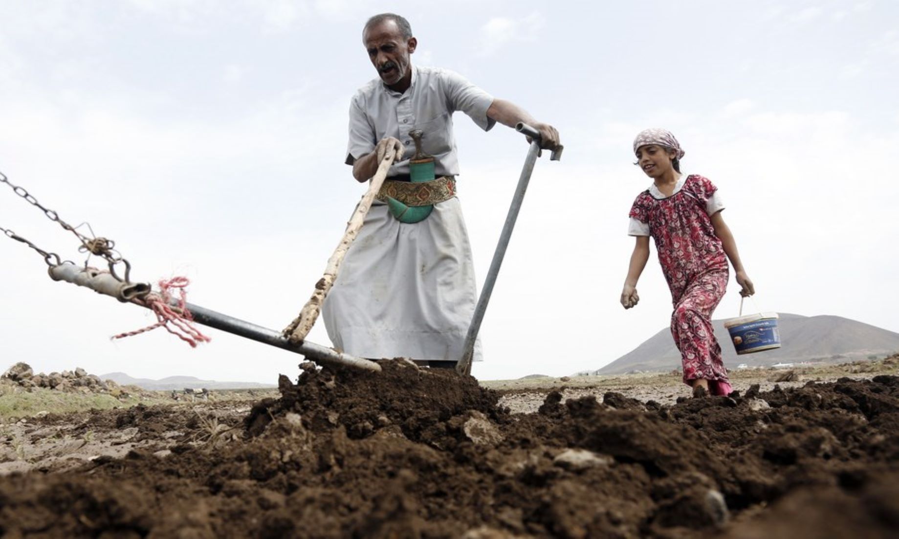 FAO Received World Bank Grant To Support Agricultural Resilience In Yemen