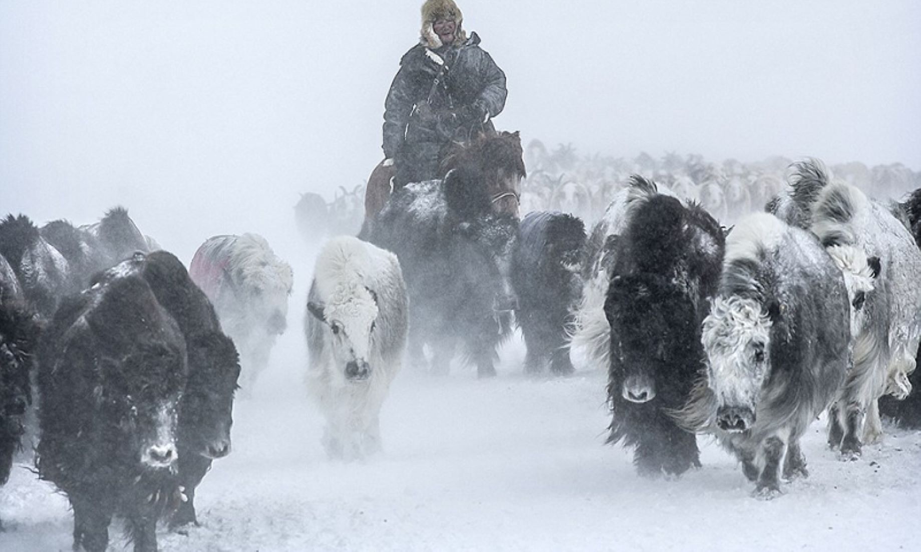 Mongolia Warns Of Heavy Snow, Snowstorms