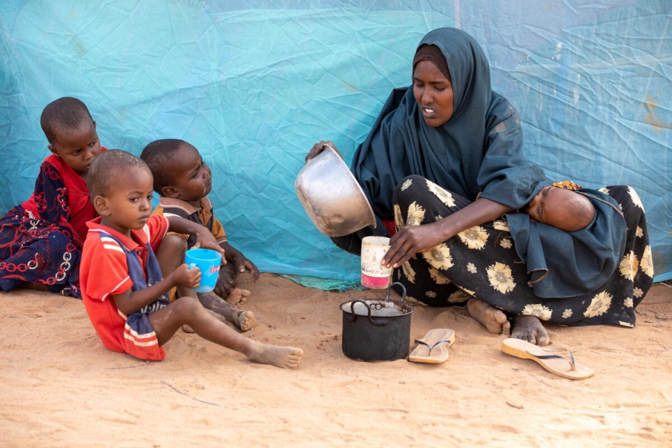 UNHCR says over 80,000 Somalis flee to Kenya amid severe drought