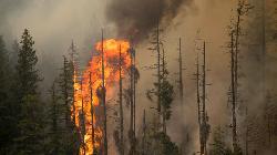 Forest fires destroy 13,000 hectares of land in Chile this spring-summer