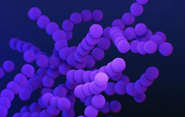 Eight deaths reported in Uruguay of streptococcus