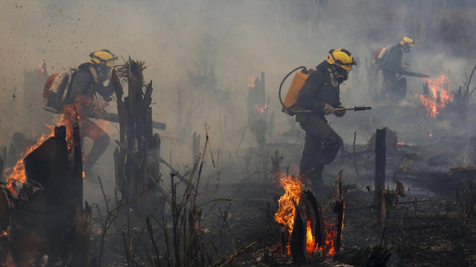 Brazil sees area burned by fire nearly double in November