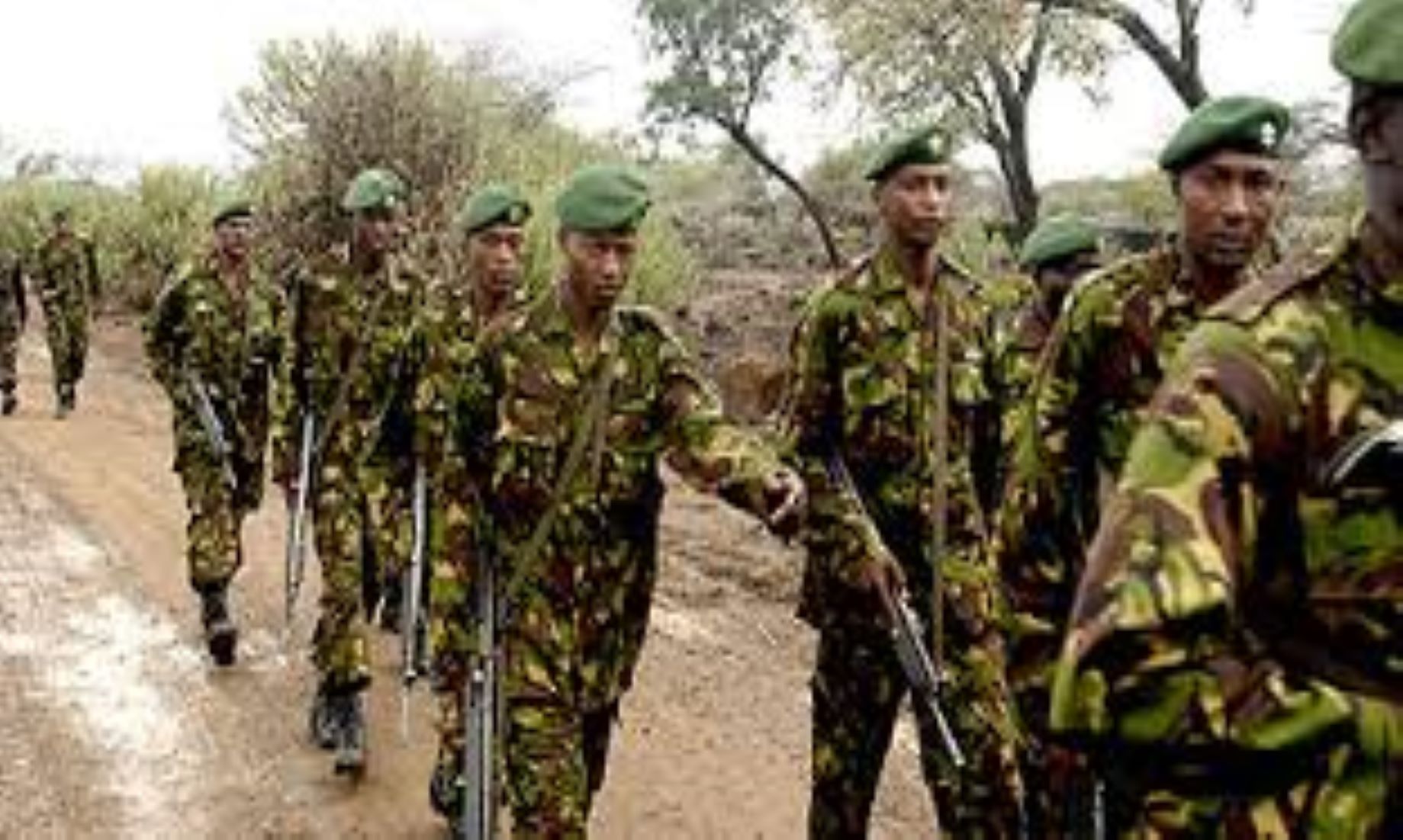 Somali Forces Killed 40 Al-Shabab Fighters In Central Somalia